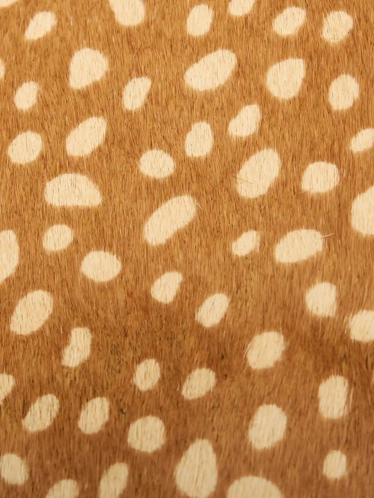 Close-up of cream spots on warm brown hair-on hide