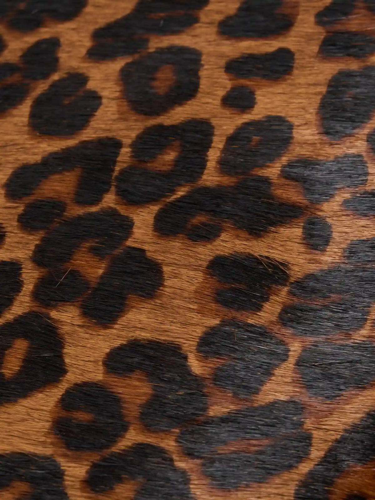 Close-up of burnished leopard hair-on hide texture