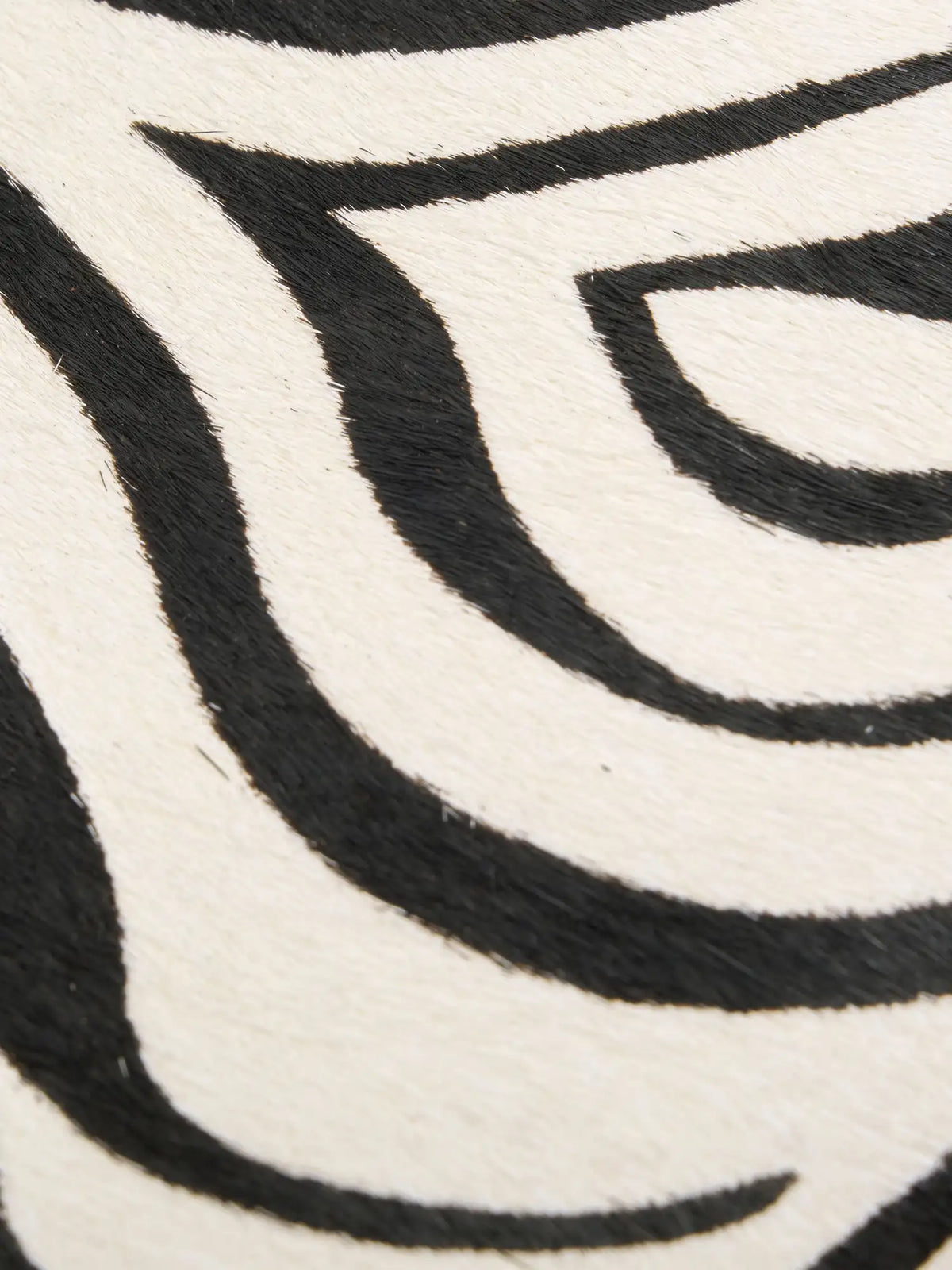 Close-up of ivory and black zebra hair-on hide texture