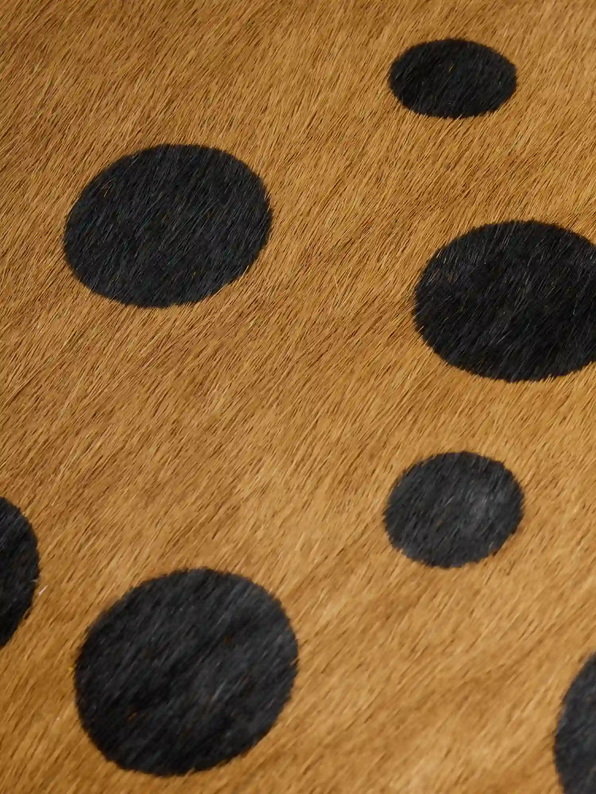 Close-up of black polka dots on toffee hair-on hide