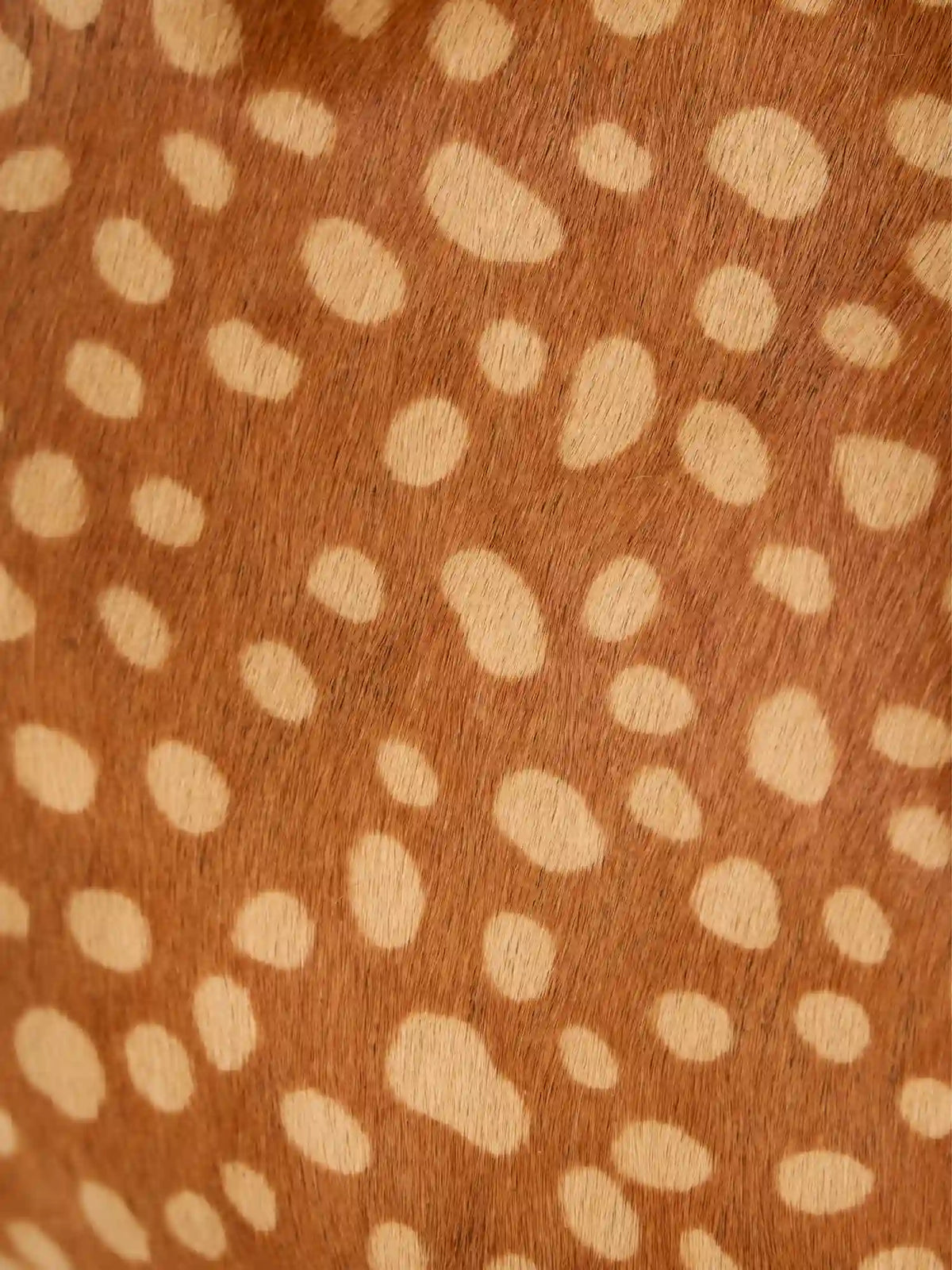 Close-up of pale fawn-inspired spots on warm brown hair-on hide