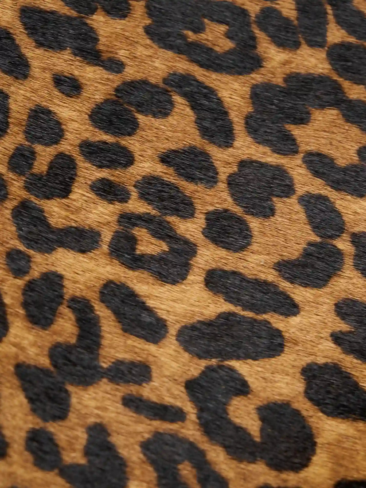 Warm tan and black leopard hair-on hide texture close-up