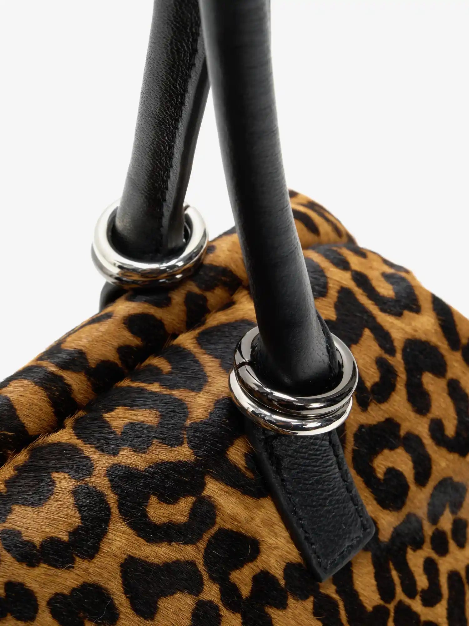 Polished ring hardware detail