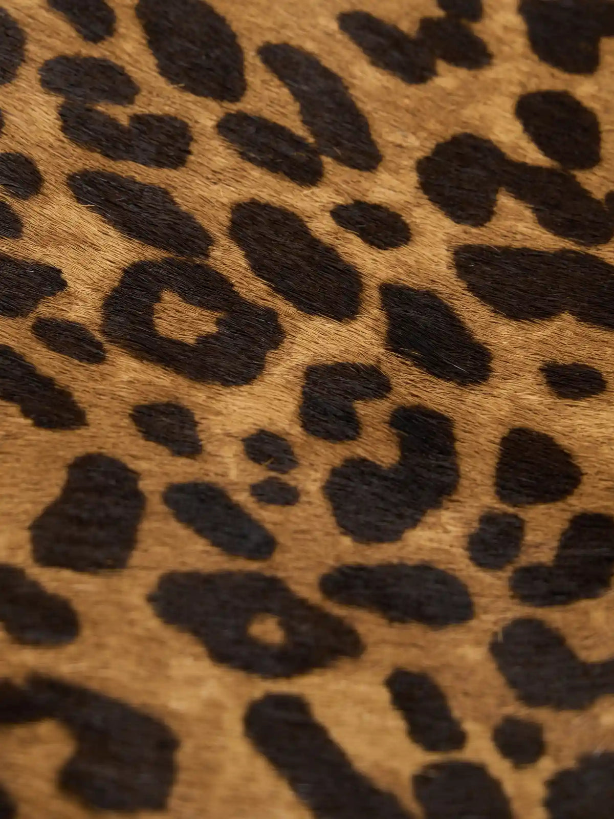 Close-up of warm brown and black leopard print on the hair-on hide surface