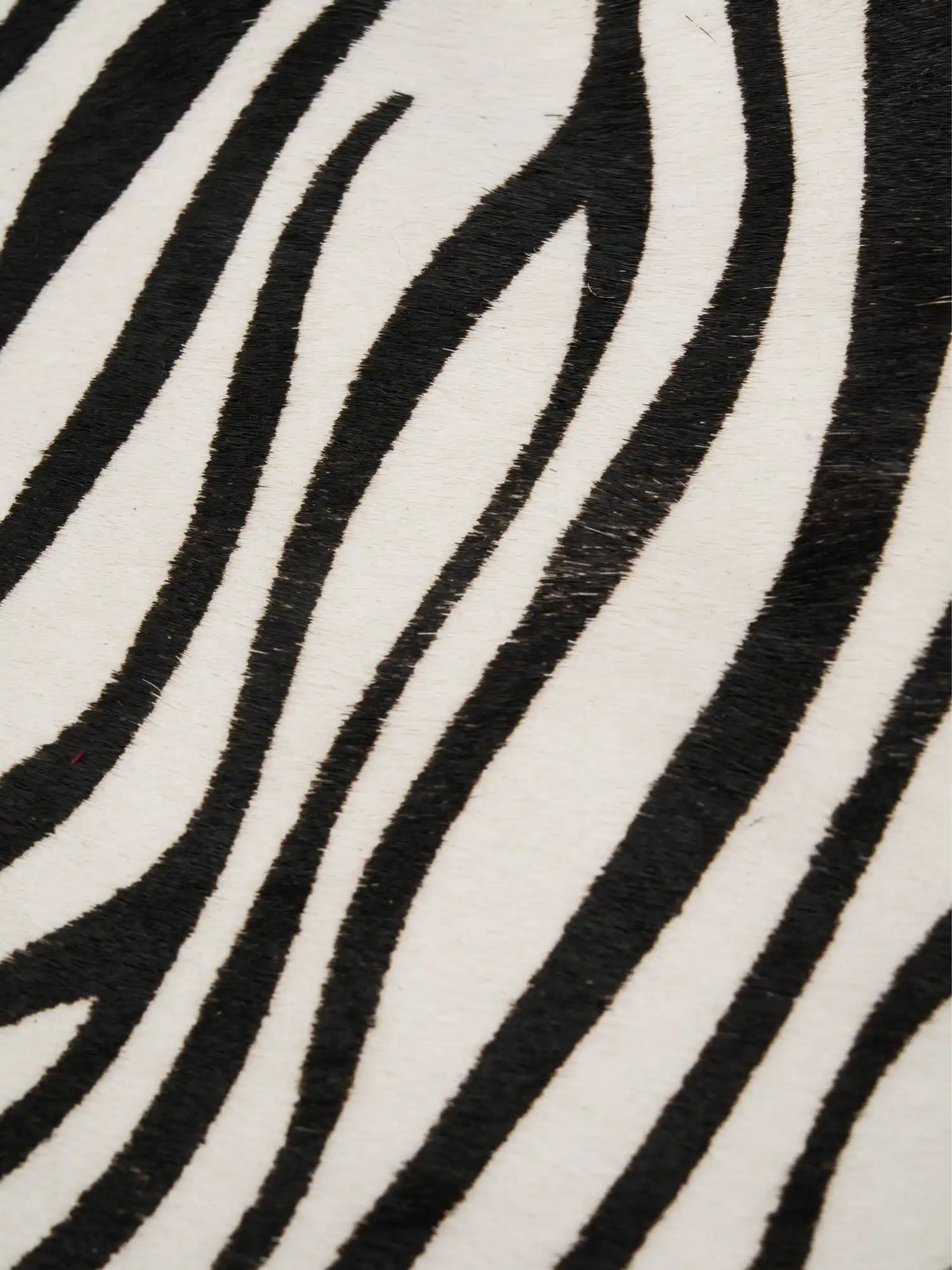 Close-up of black zebra stripes on the ivory hair-on hide surface