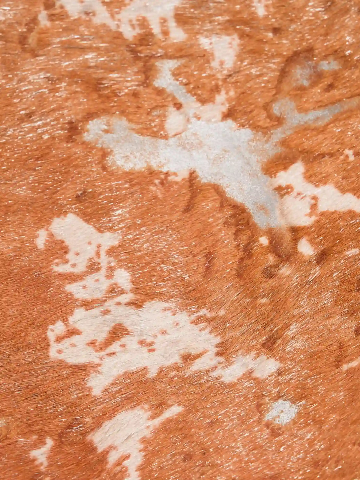 Close-up of caramel hair-on texture with ivory and silvery patches
