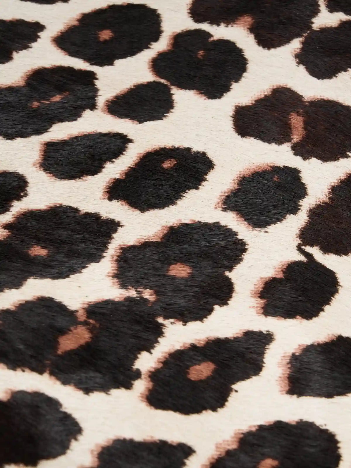Close-up of dark leopard spots and brown accents on light beige hair-on hide