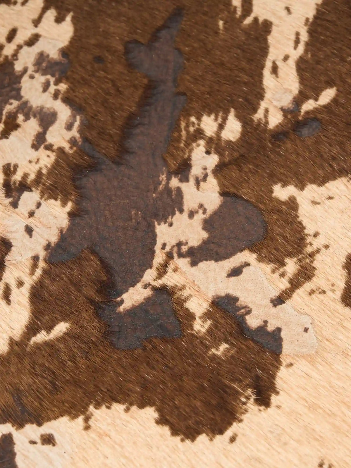 Close-up of irregular mocha brown and beige cow-print patches