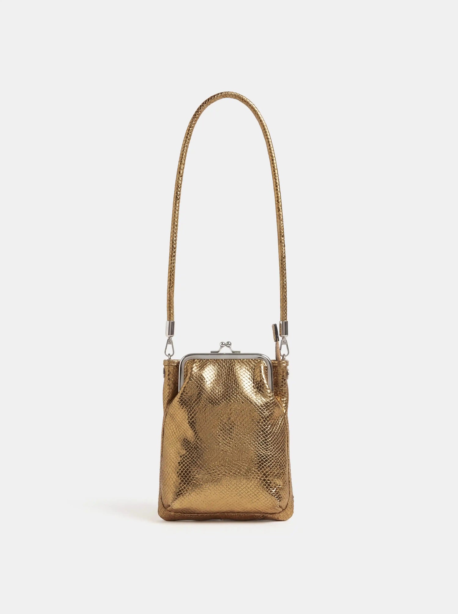 The Neo-Vintage Kiss-Lock Bag · Antique Bronze Snake