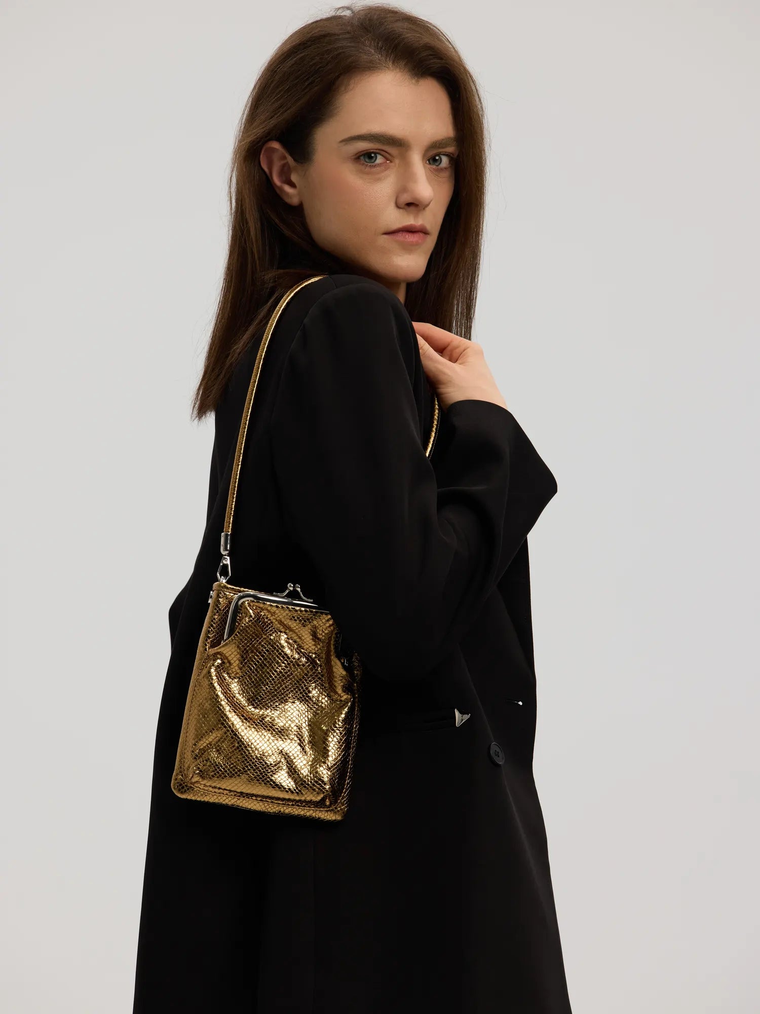The Neo-Vintage Kiss-Lock Bag · Antique Bronze Snake